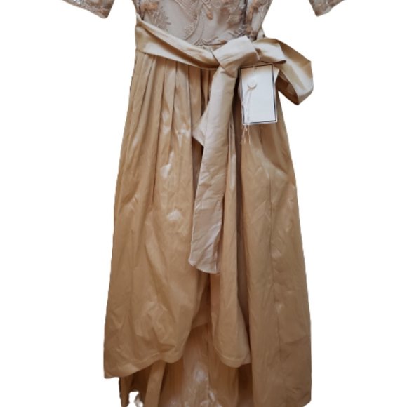 Adrianna Papell *NEW* Sequin Lace & Taffeta Gold Ballgown - Picture 6 of 16